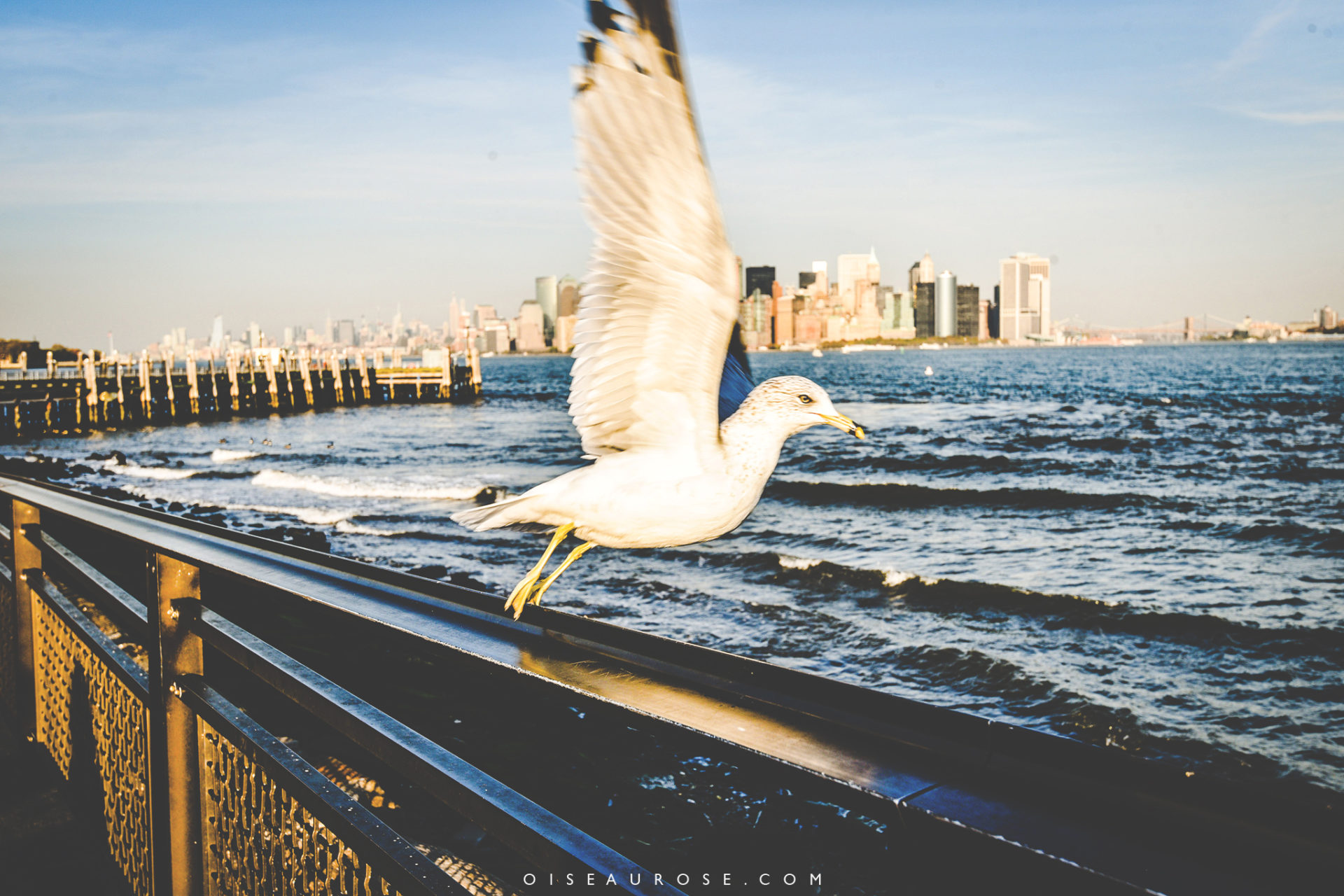 1-statue-liberte-new-york-ambiance