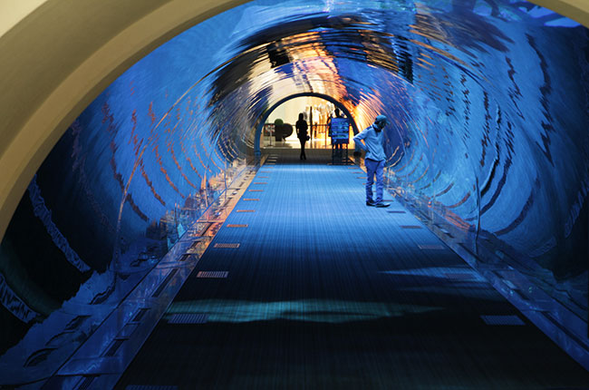 Aquarium-Dubai