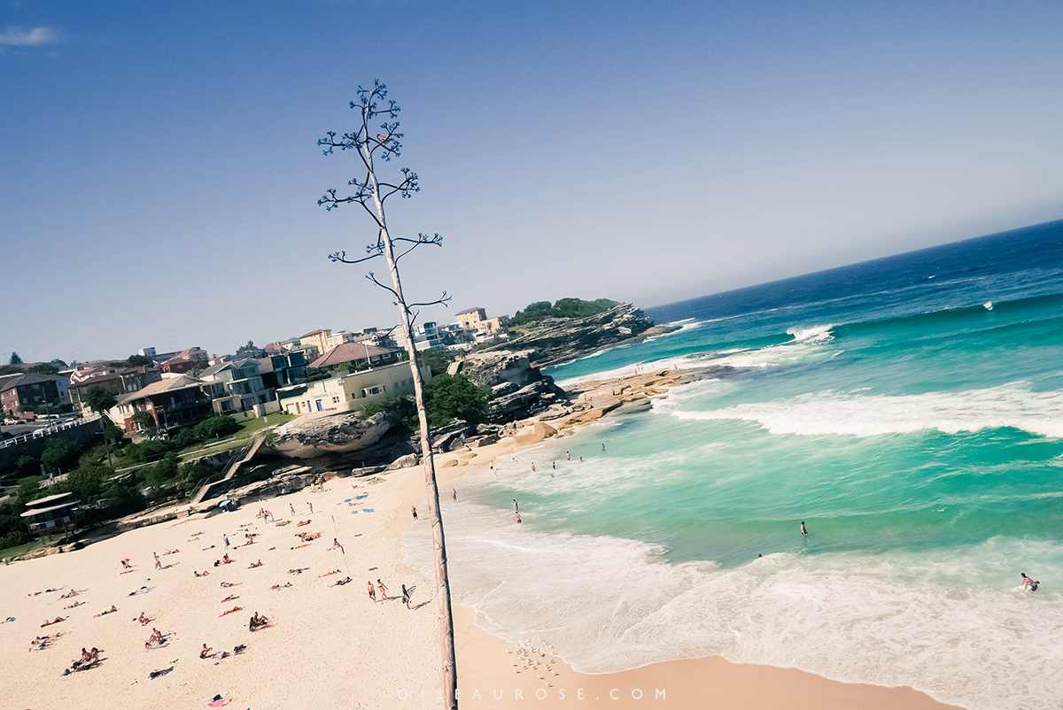 Australie-Bondi-Beach-1