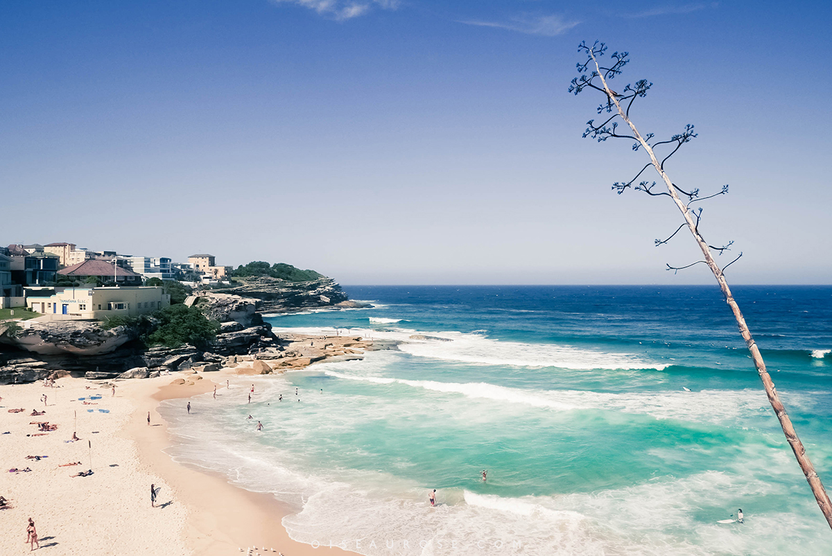Australie-Bondi-Beach-10