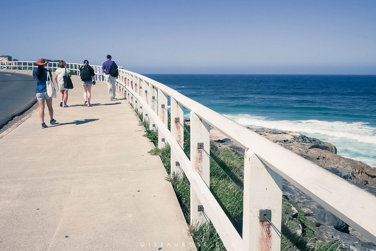 Australie-Bondi-Beach-13