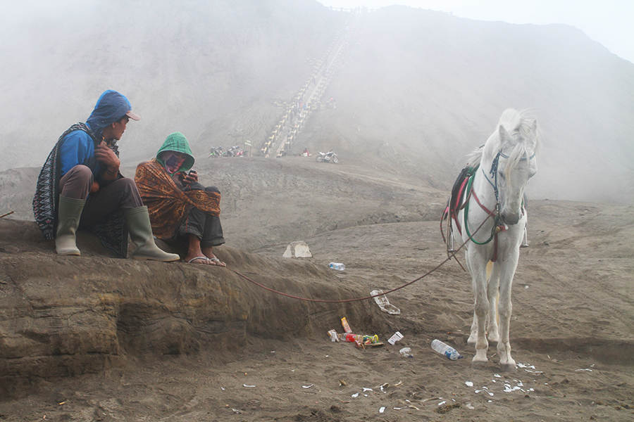Volcan BROMO à cheval, indonésie