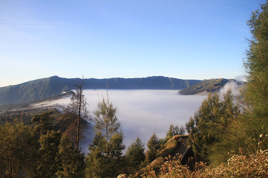 Bromo-46