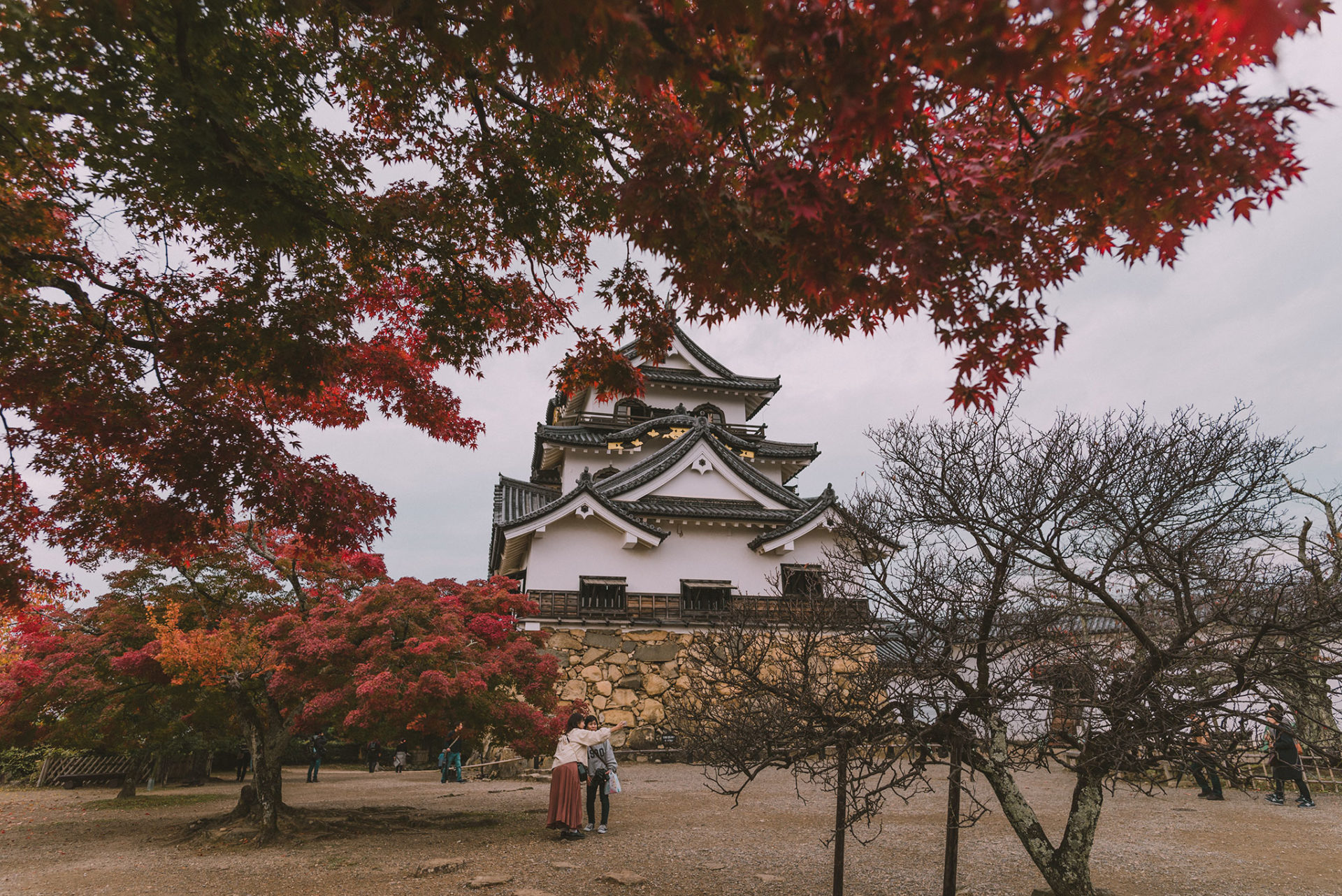 Château Hikone, Shiga prefecture