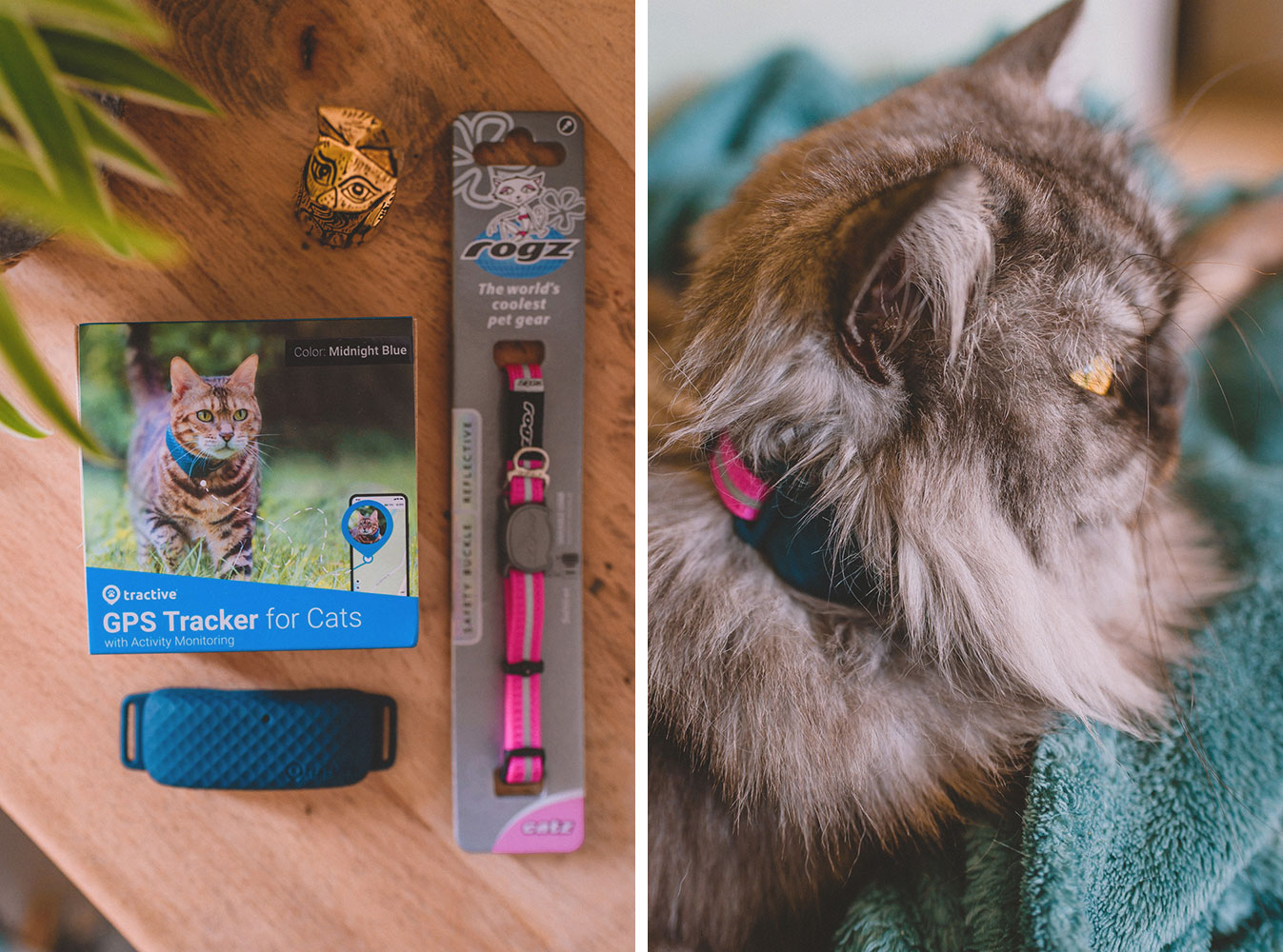 Produit Tractive en détails, le GPS pour chat
