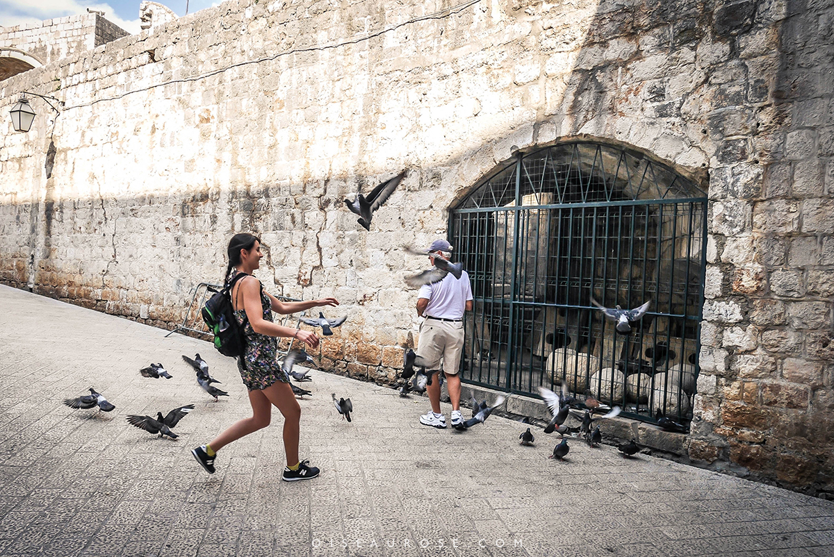 Dubrovnik-camille-blog-voyage