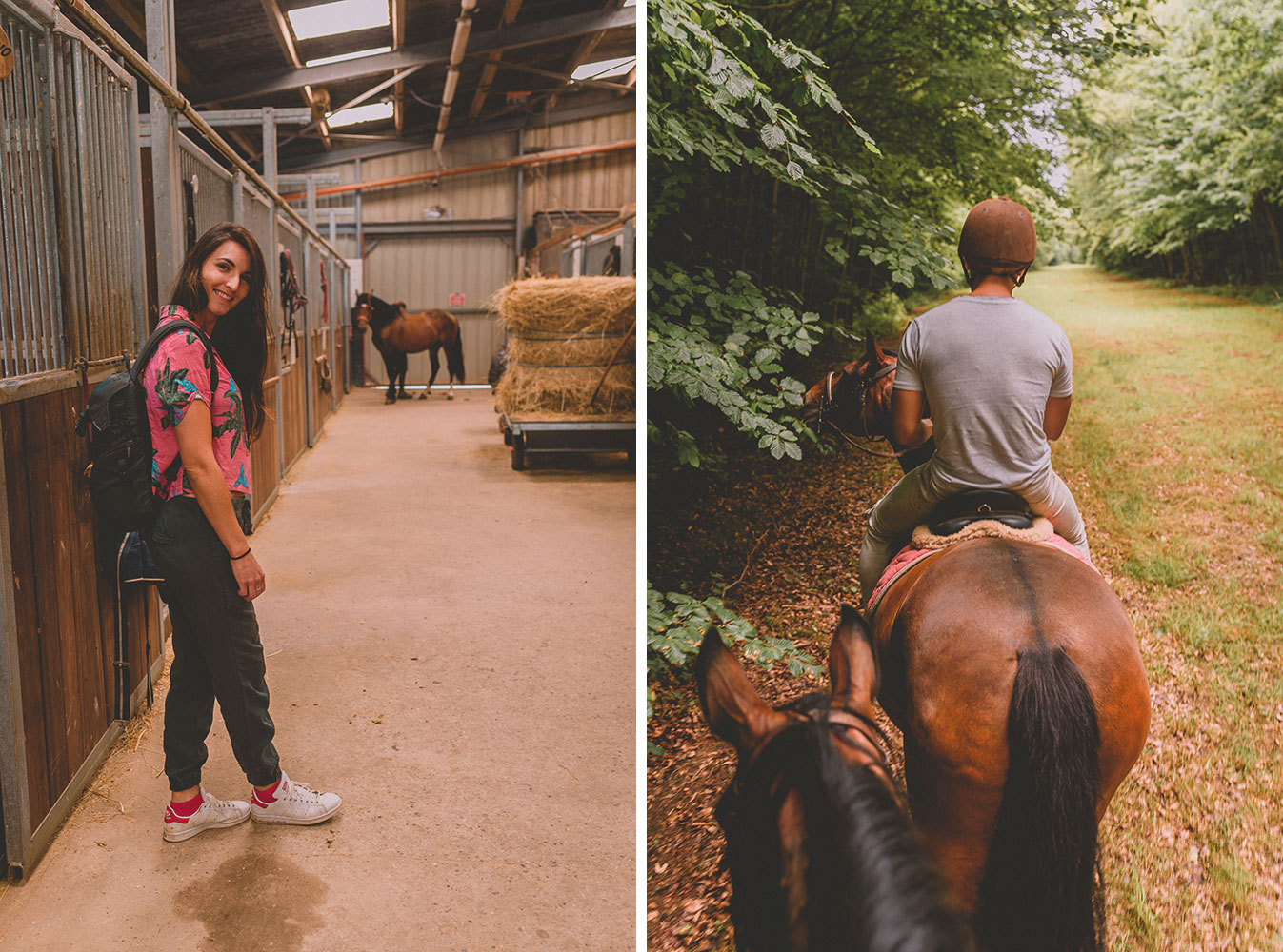 Balade à cheval en Lorraine
