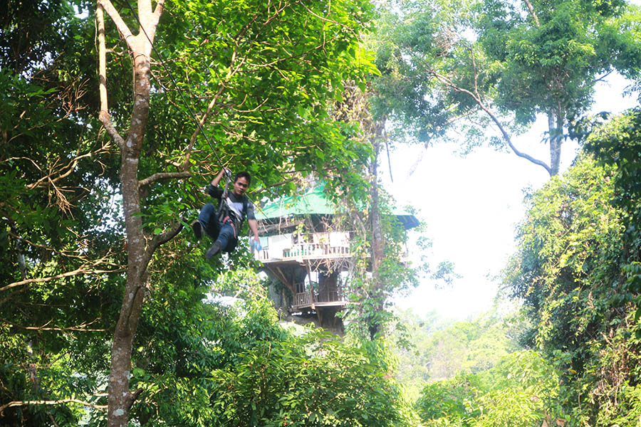 Une superbe cabane dans les arbres.