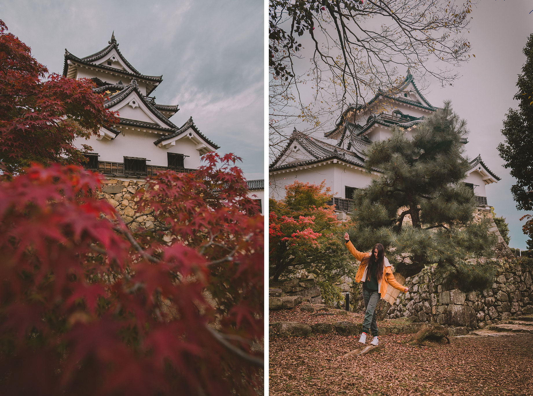 Le Château de Hikone