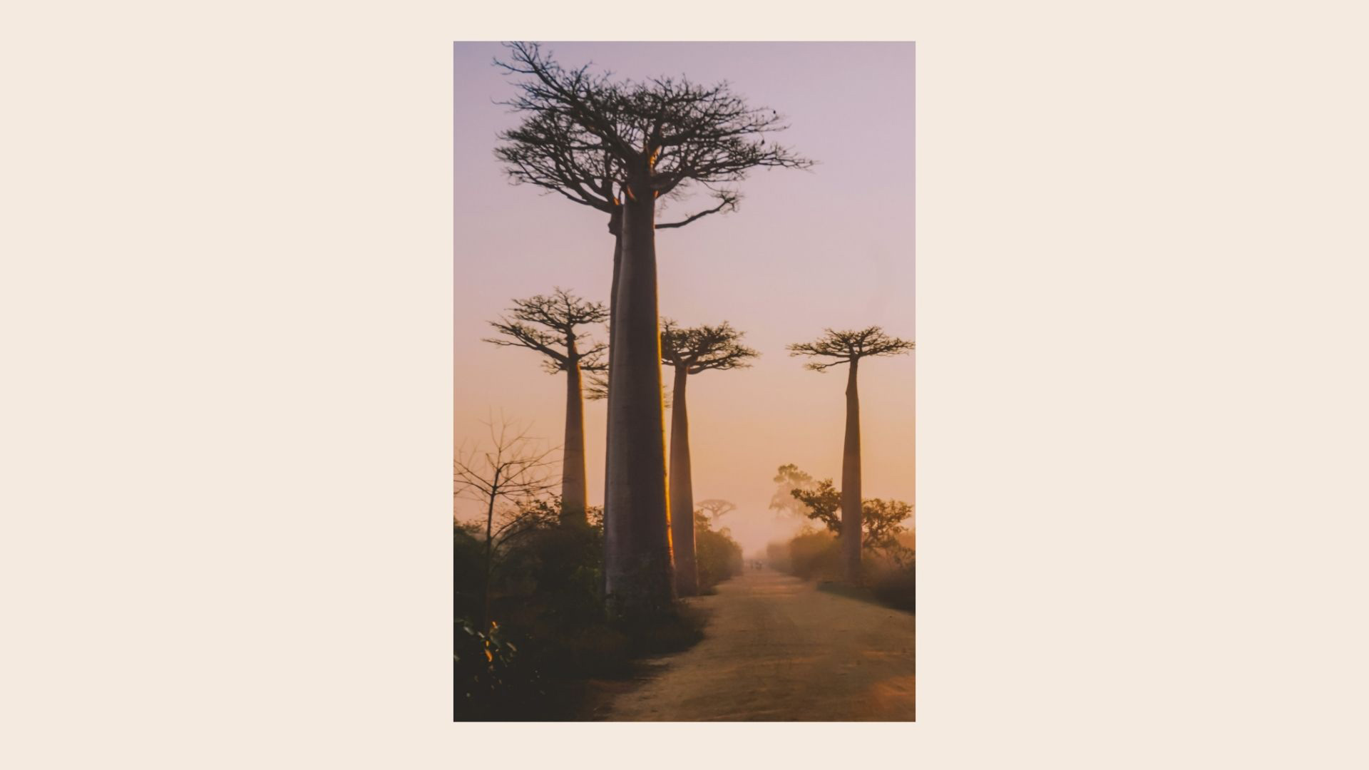 Madagascar est un pays où voyager pour pas cher
