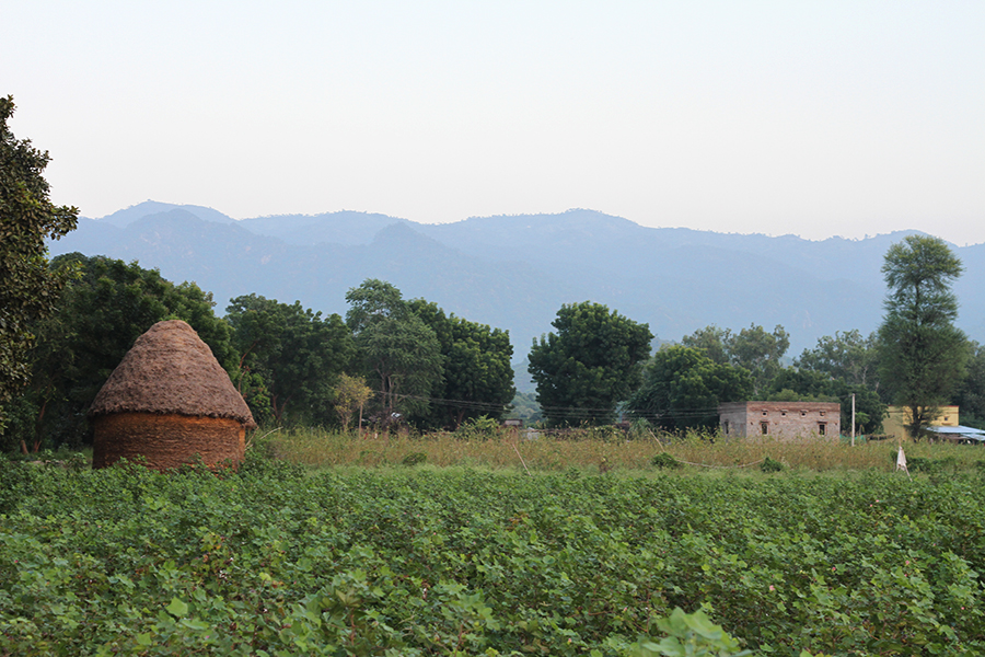Rencontre à Ranakpur