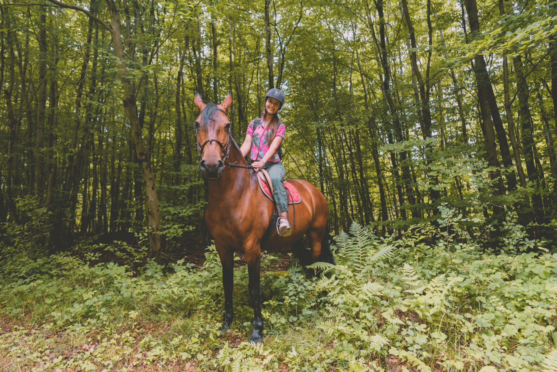 Randonnée à cheval forêt des Vosges