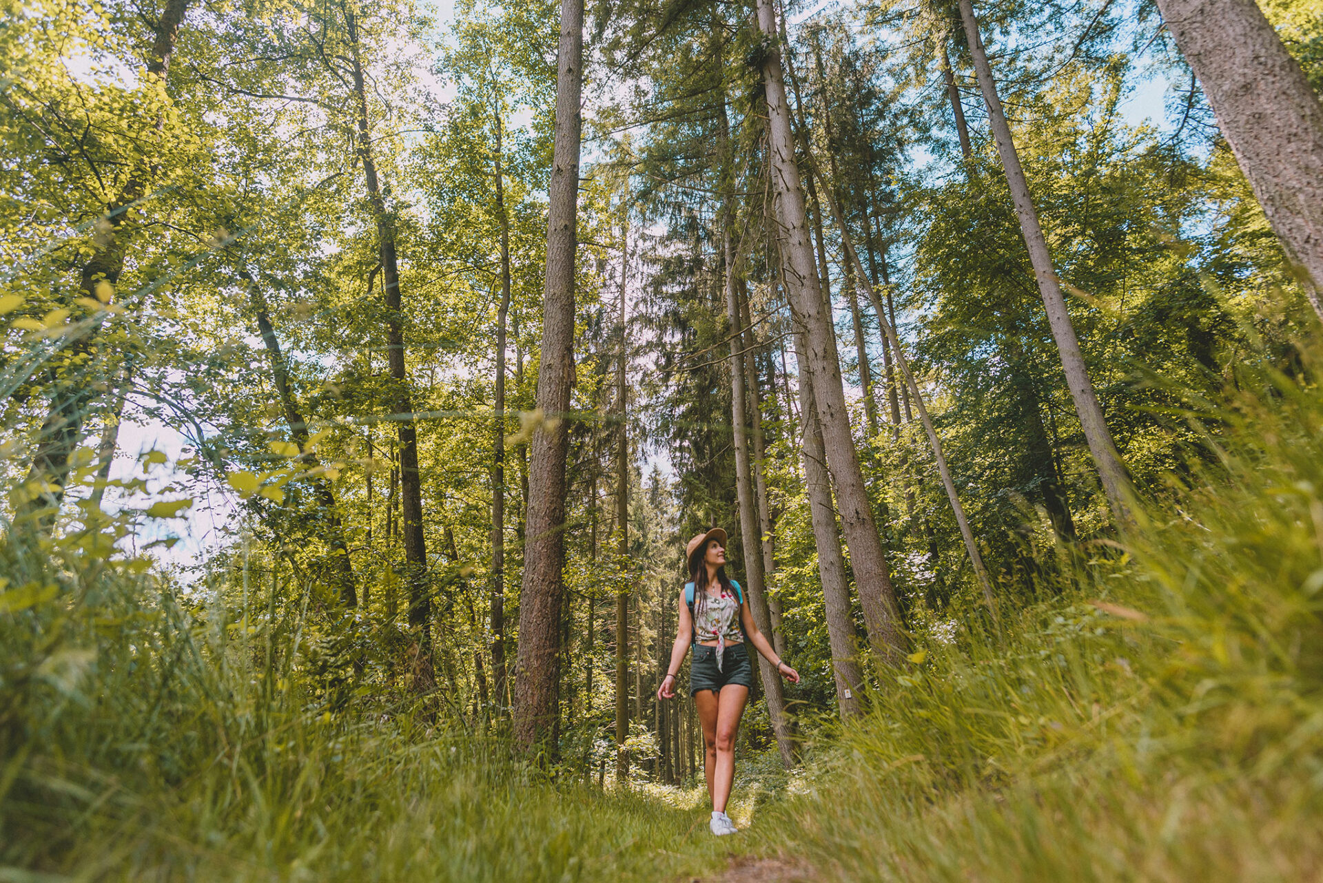 Randonnée dans le Parc naturel régional des Vosges du Nord