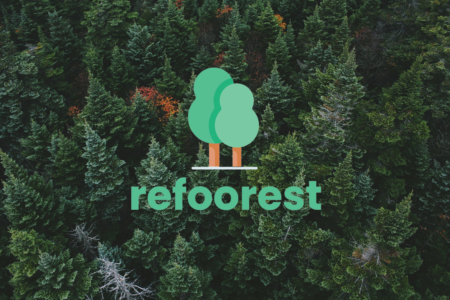 Refoorest outil pour planter arbre