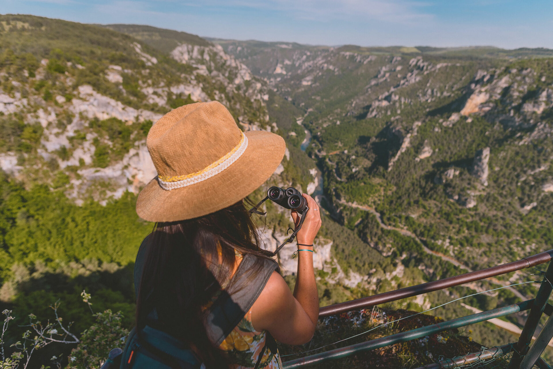 Observer les vautours dans les gorges du Tarn