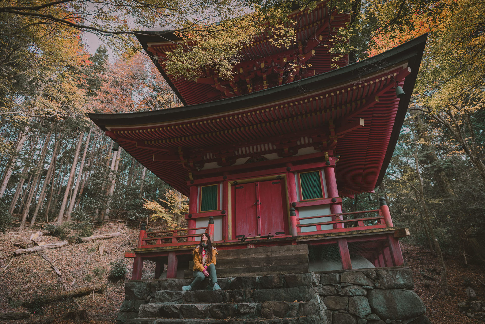 Mont Hiei dans la préfecture de Shiga