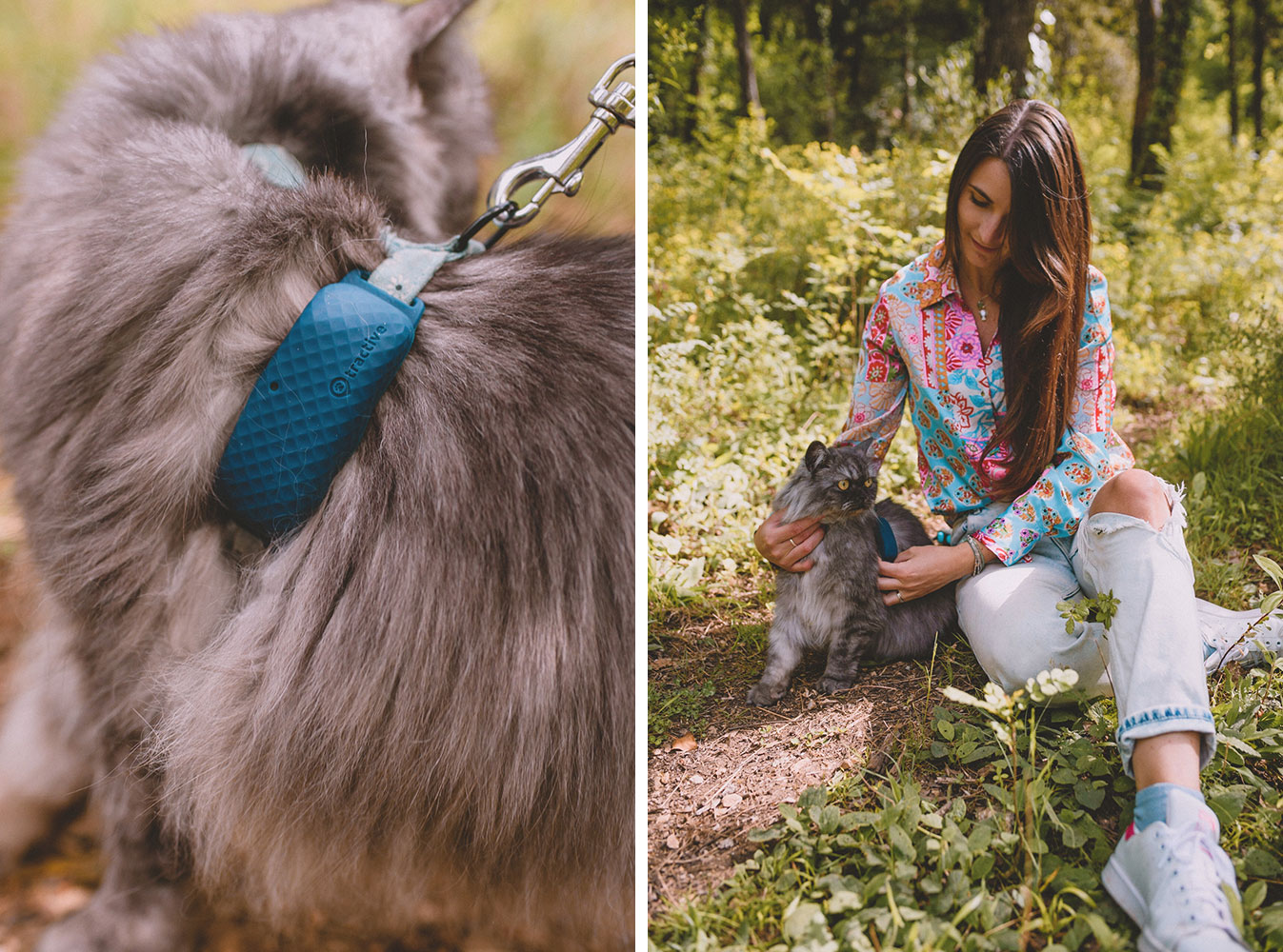 Tractive, un GPS pour suivre son chat