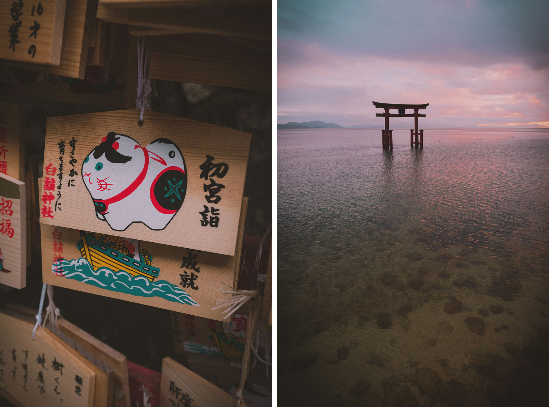 Torii dans l'eau au Japon