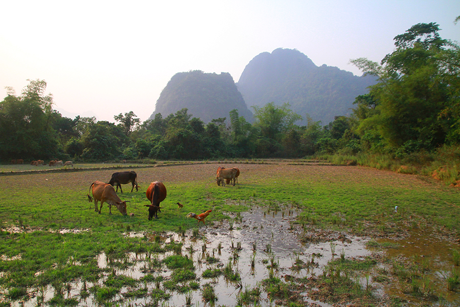 Vang-Vieng33