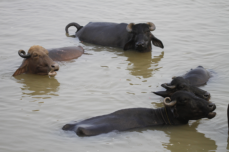 Varanasi