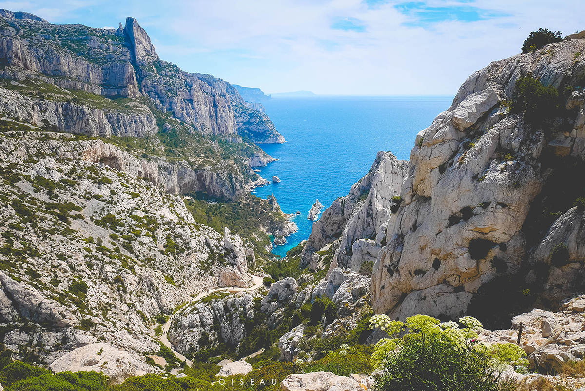 calanques-Marseille-6