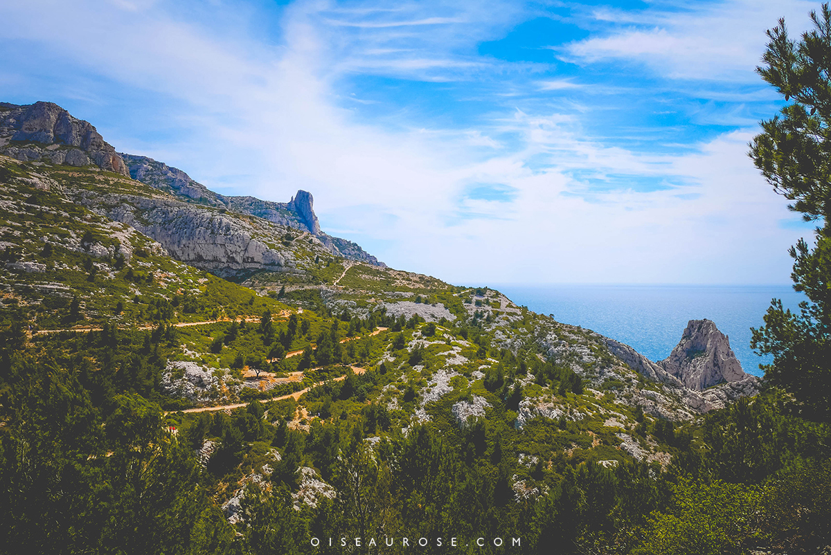 calanques-arbres