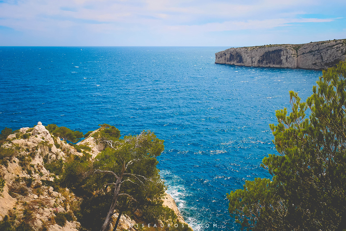 calanques-marseille-4