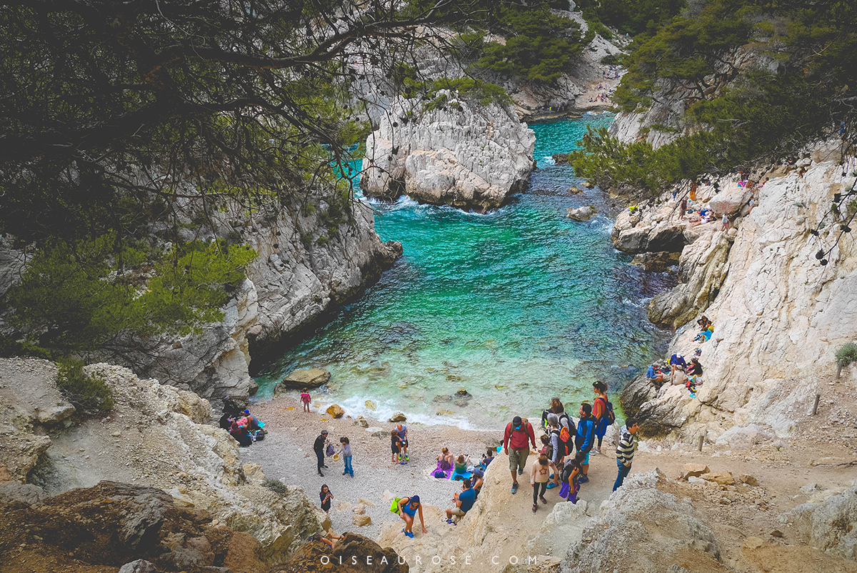 calanques-marseille-eaux-turquoises-plage