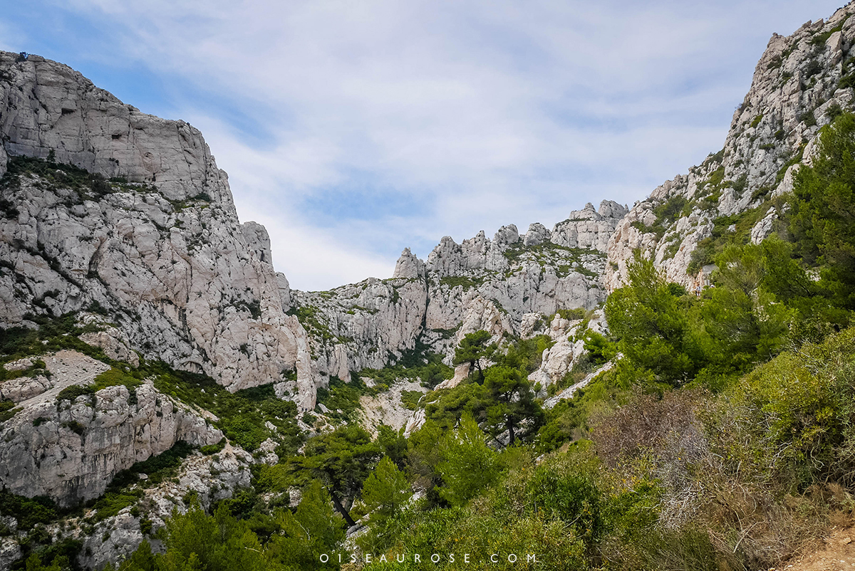 calanques-marseille-paysage