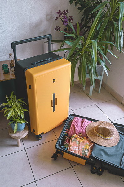 Caractéristiques valise voyageur check-In Level8