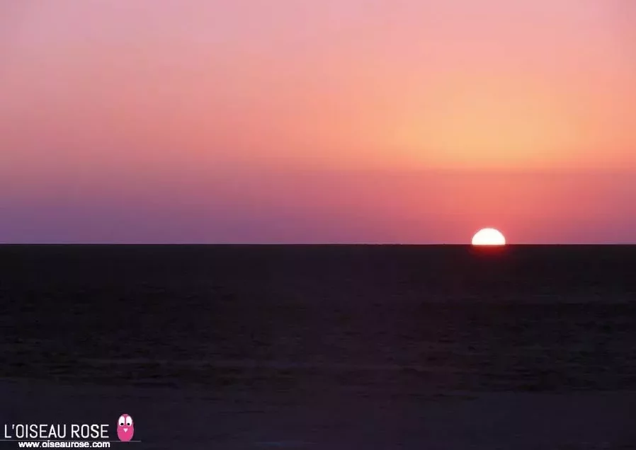 Visite du lac salé de Chott-El-Jérid au lever du soleil