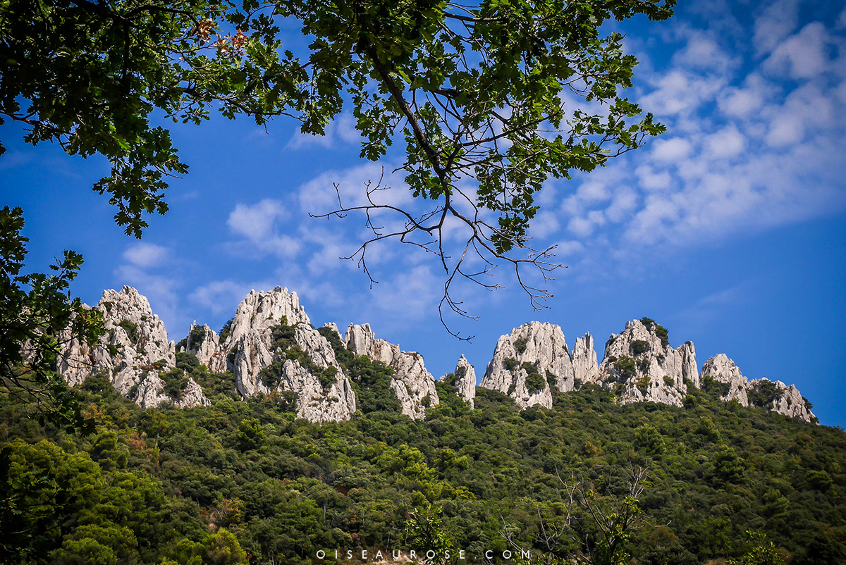 dentelles-montmirail-provence-a-velo