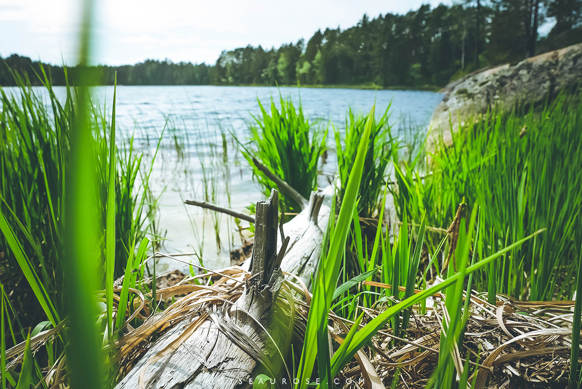 finlande-lac