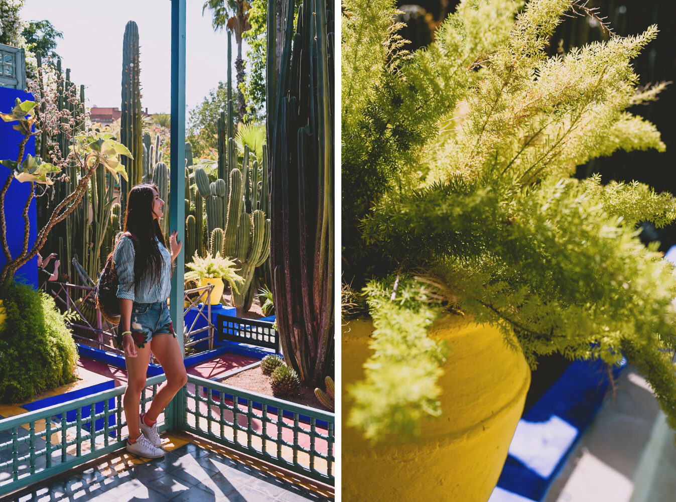 Ambiance du jardin Majorelle de Marrakech