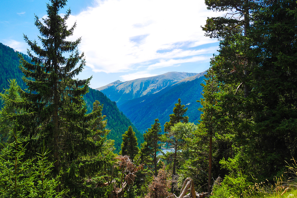 montagne-mercantour