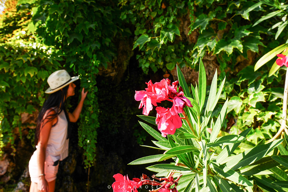 parc-a-avignon