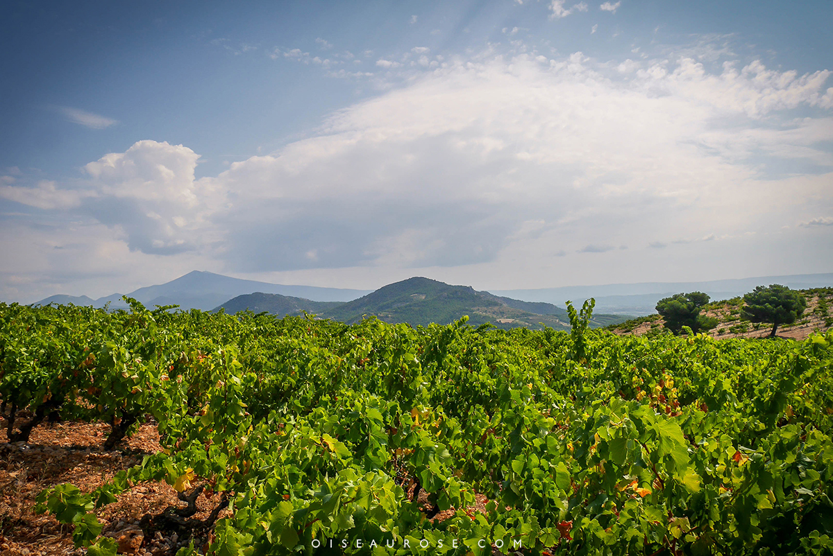 paysages-sublimes-provence-a-voir-en-velo