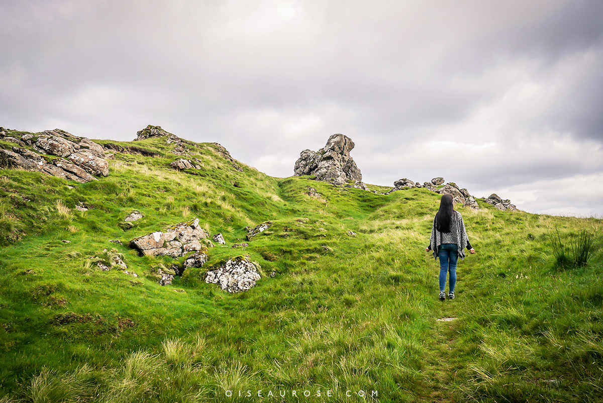 paysages-vert-ecosse
