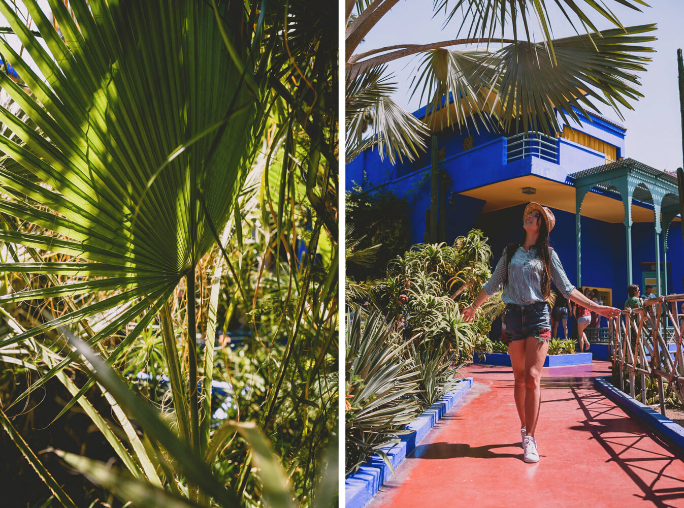 Majorelle, horaires et tarifs du jardin