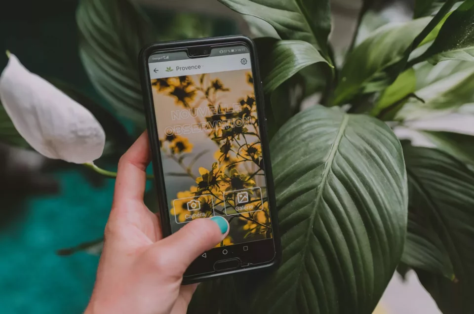 6 applications pour vous aider à mieux connaître la nature