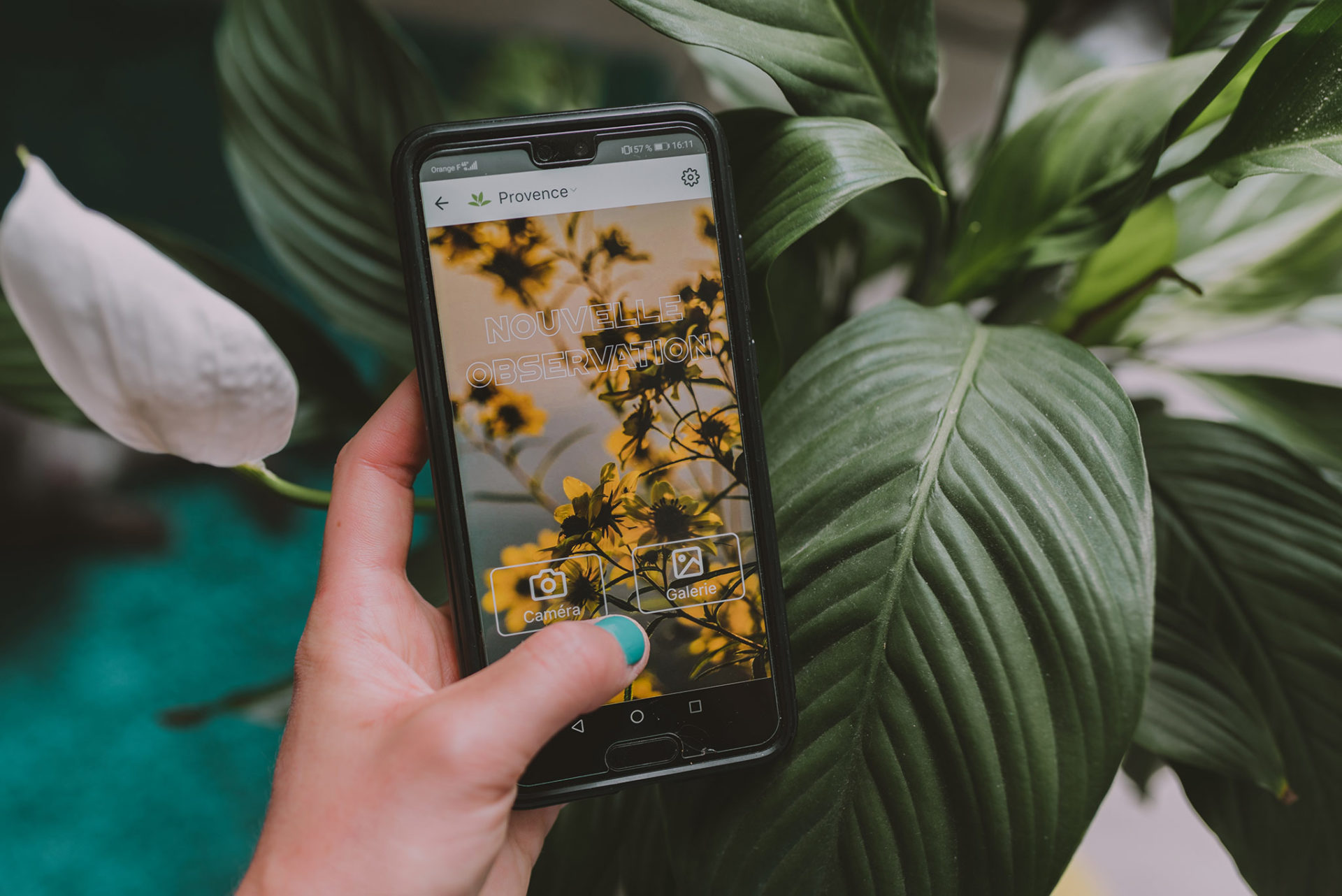 Plantnet application