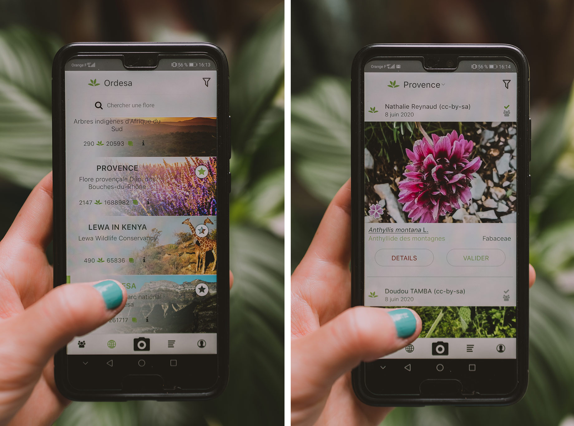 Plantnet utiliser