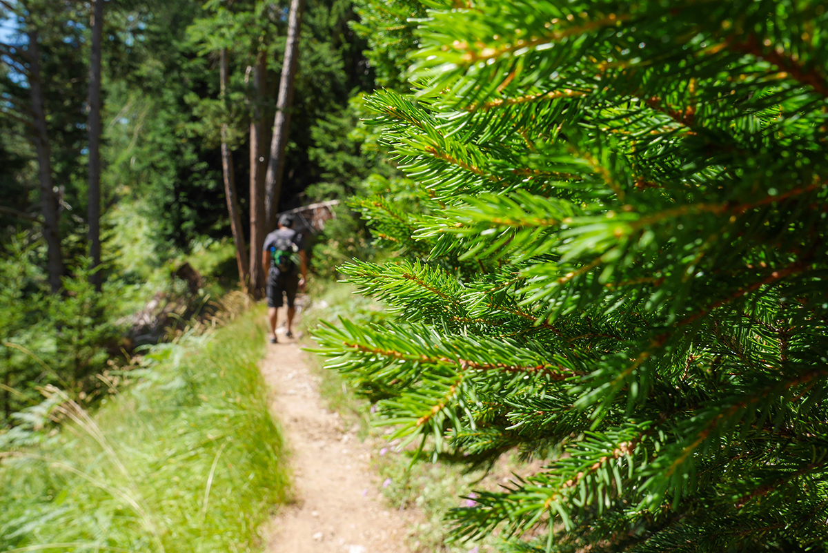 rando-mercantour