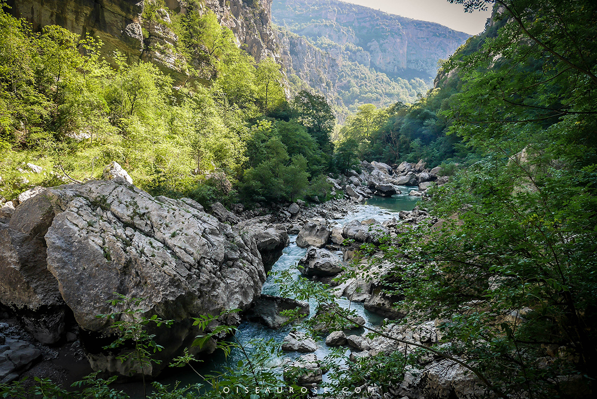 superbes-paysages-randonnée-gorges-du-verdon