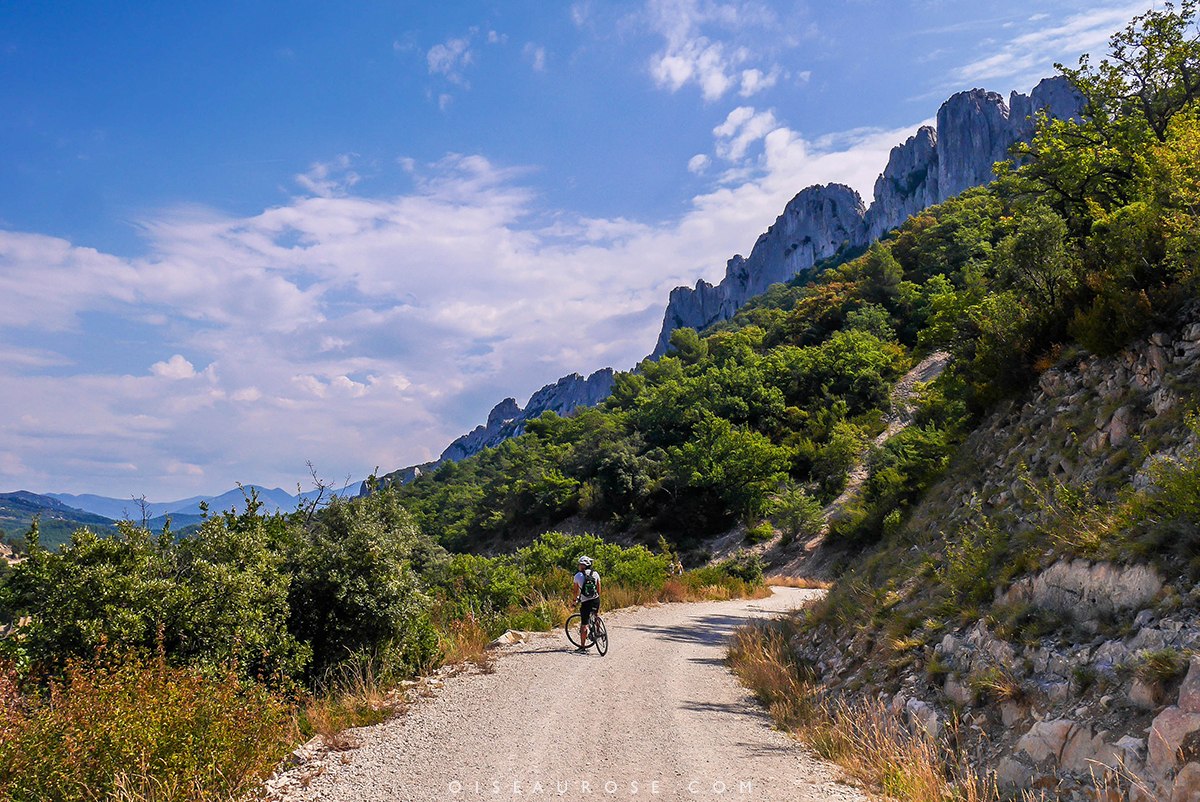 velo-en-provence