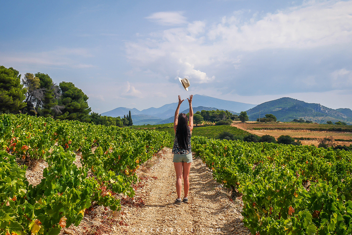 voir-vignes-velo-en-provence